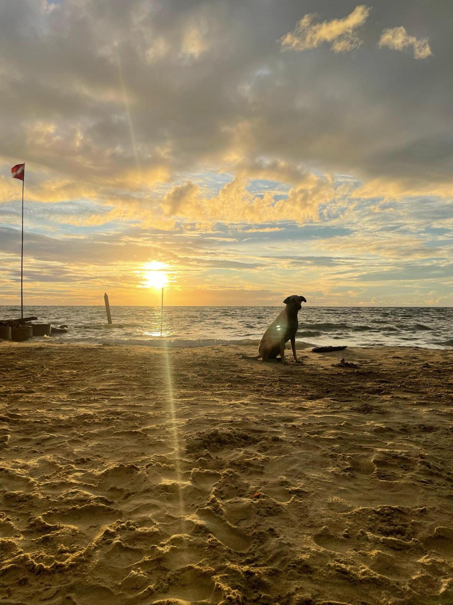 Palenque Beach House San Onofre Buitenkant foto