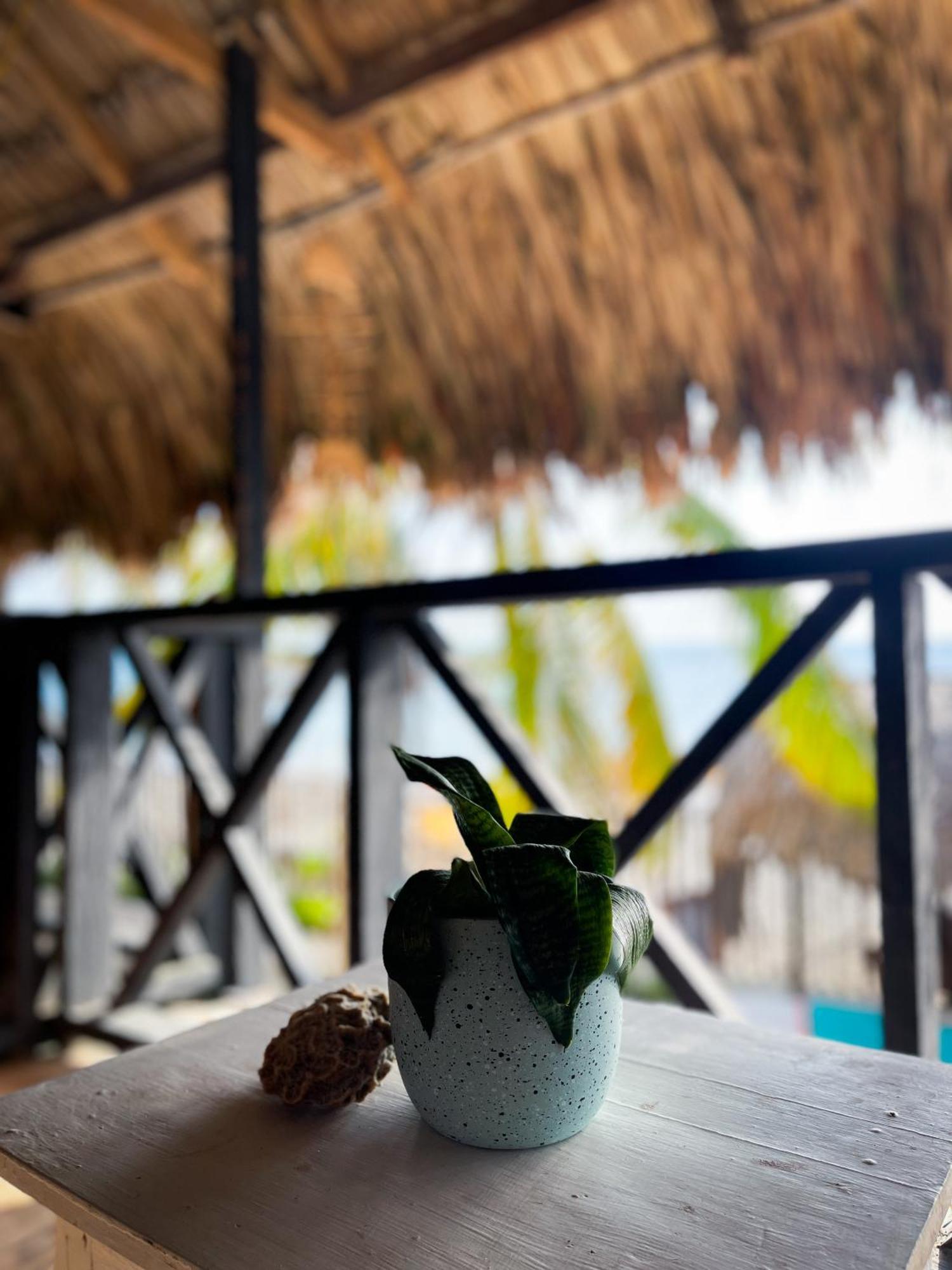 Palenque Beach House San Onofre Buitenkant foto